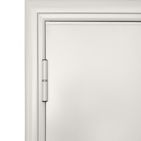 Противопожарная дверь DoorHan 880×2050 мм DPG60/880/2050/7035/R/N